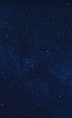 AI Universe $19.99