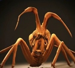 AI Spider $19.99